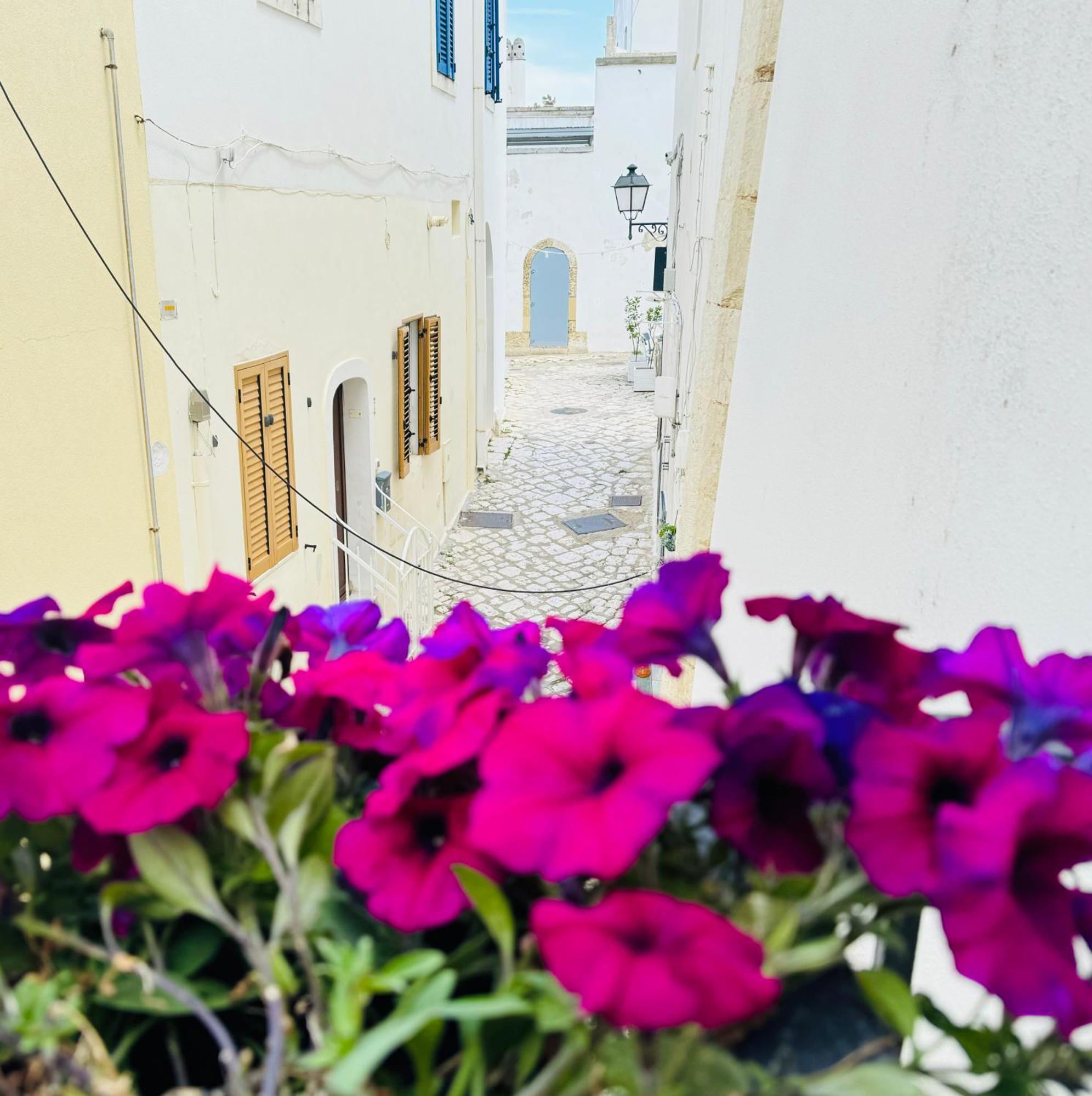Dimora Del Sole Luxury And Charm Apartment Otranto Ngoại thất bức ảnh